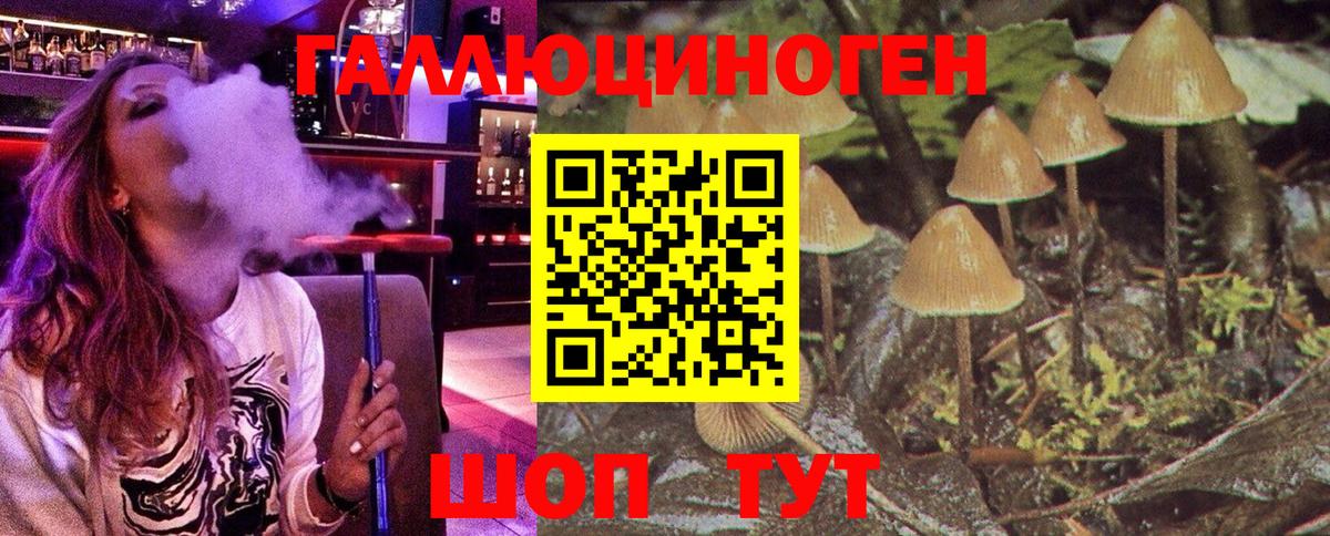 Псилоцибиновые грибы MAGIC MUSHROOMS  Псилоцибиновые грибы мухоморы  Кушва  Вход с VPN 